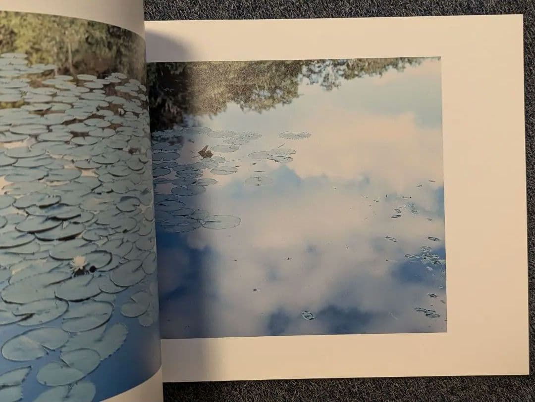 写真と絵画−セザンヌより 柴田敏雄と鈴木理策』展 図録 - メルカリ