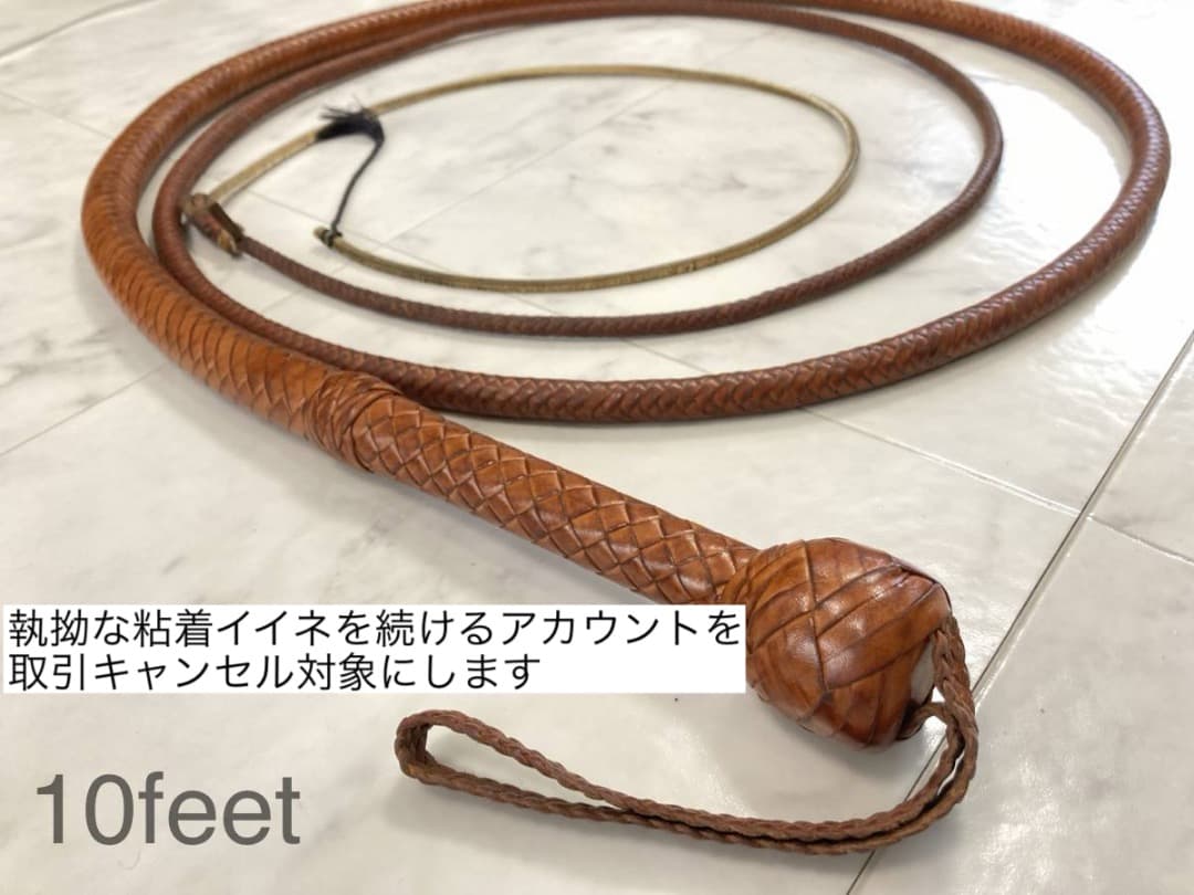 Indiana Jones Bullwhip インディ ジョーンズ ブルウィップ - メルカリ