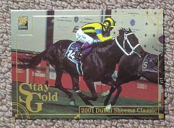 サラブレッドカード ステイゴールド(2001ドバイシーマクラシック)※非売品