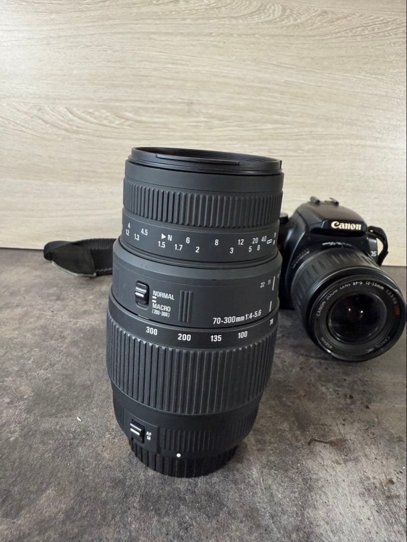 Canon 70-300mm f/4.5-5.6 ズームレンズ