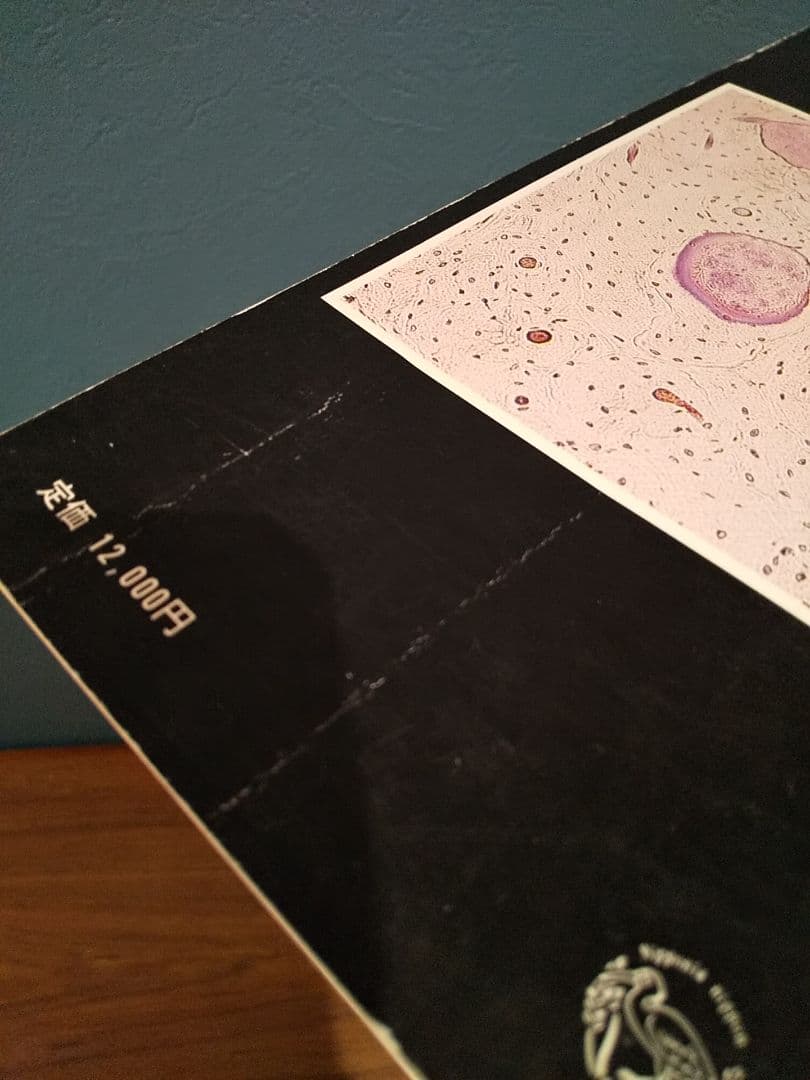 骨形態計測ハンドブック／高橋栄明 著