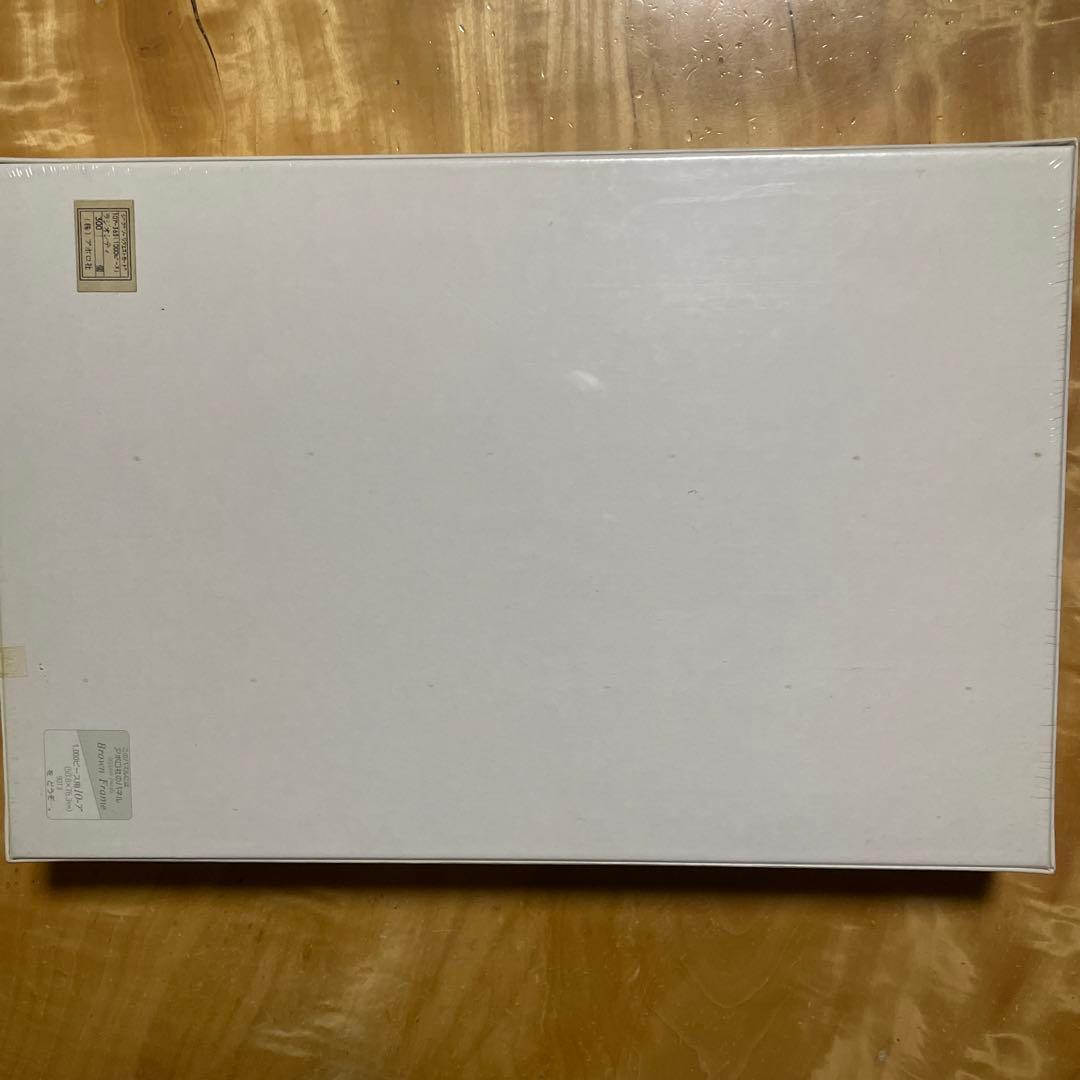 アポロ社 ジグソーパズル アレクサンダー・チェン ラジオシティ 1000P