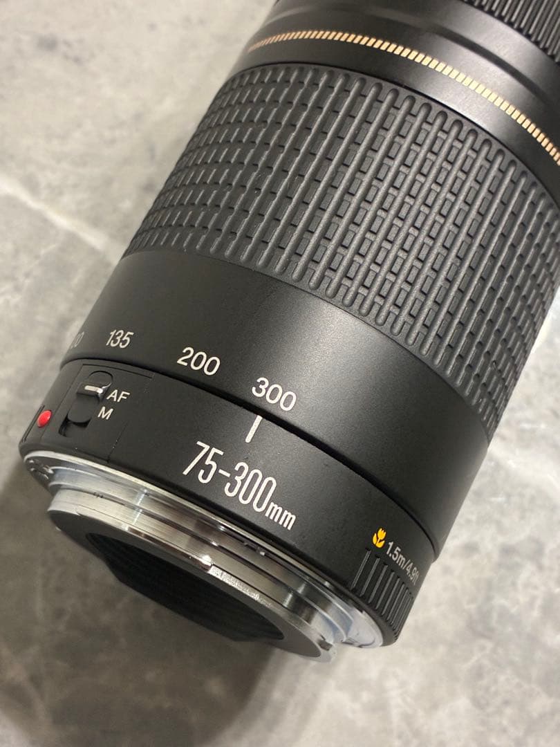 ⭐️外観美品⭐️Canon EF 75-300mm F/4-5.6 II USM
