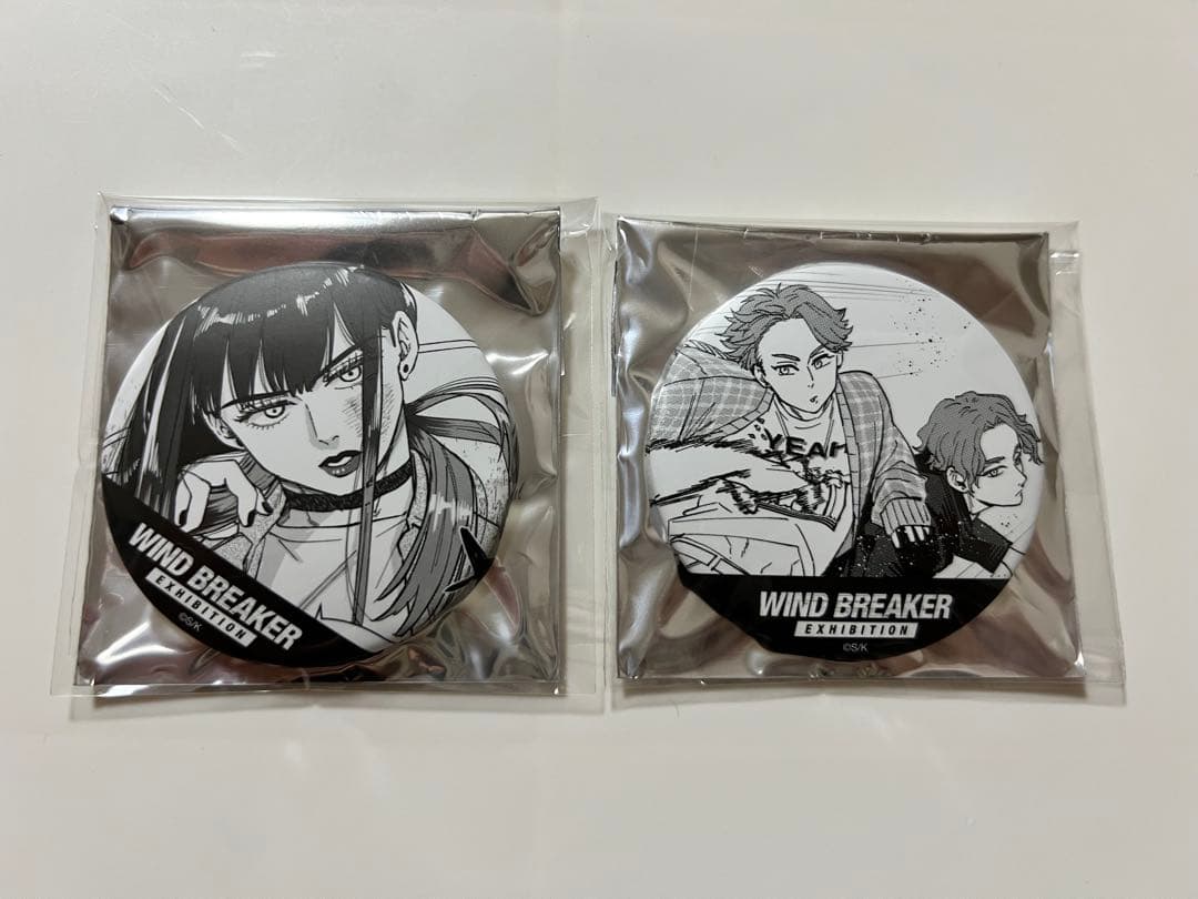 WINDBREAKER ランダム原作コマ缶バッジvol.1 椿野佑/榊晴竜、雨竜