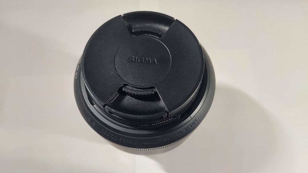 SIGMA 18-200mm F3.5-6.3 DC MACRO ニコン用