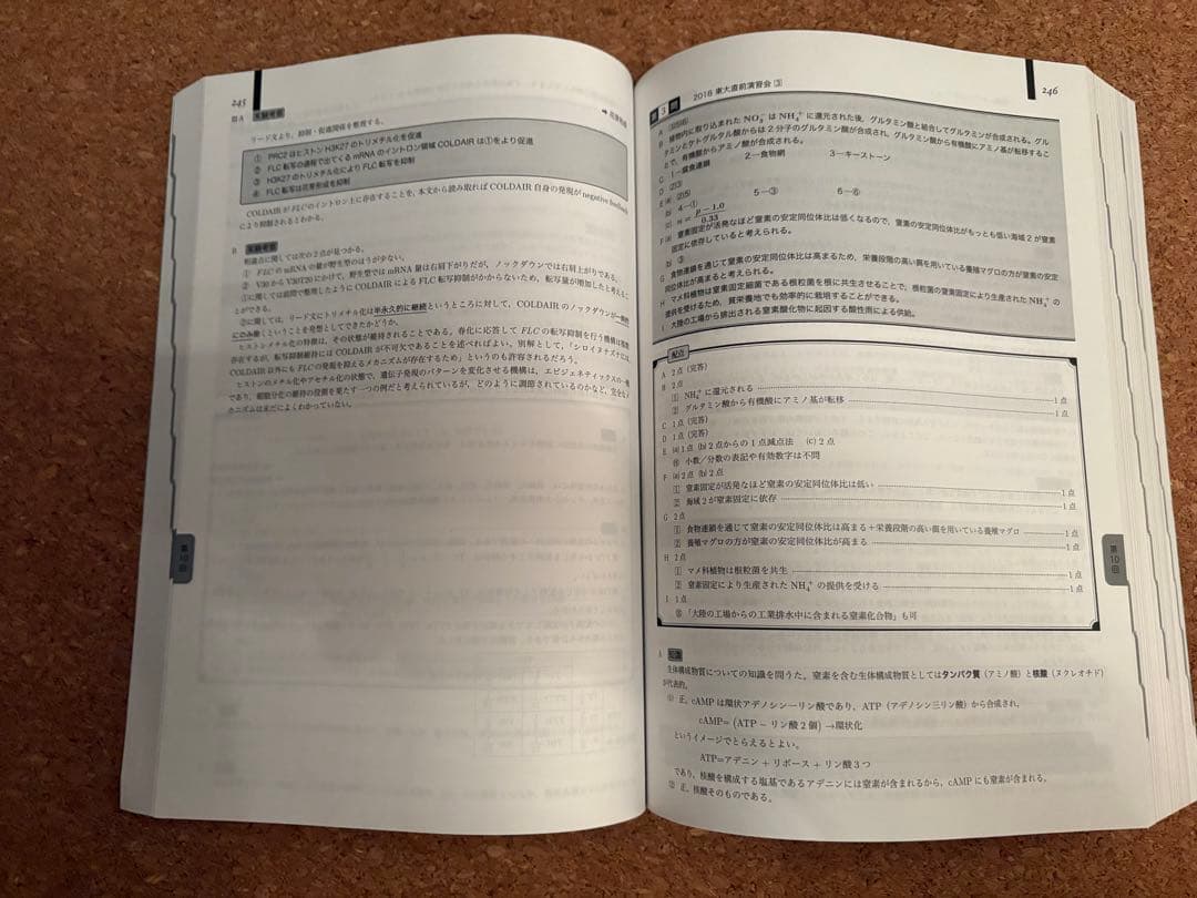 く*ン様 一年分2024鉄緑会生物Aクラス（上位）一式全てあります