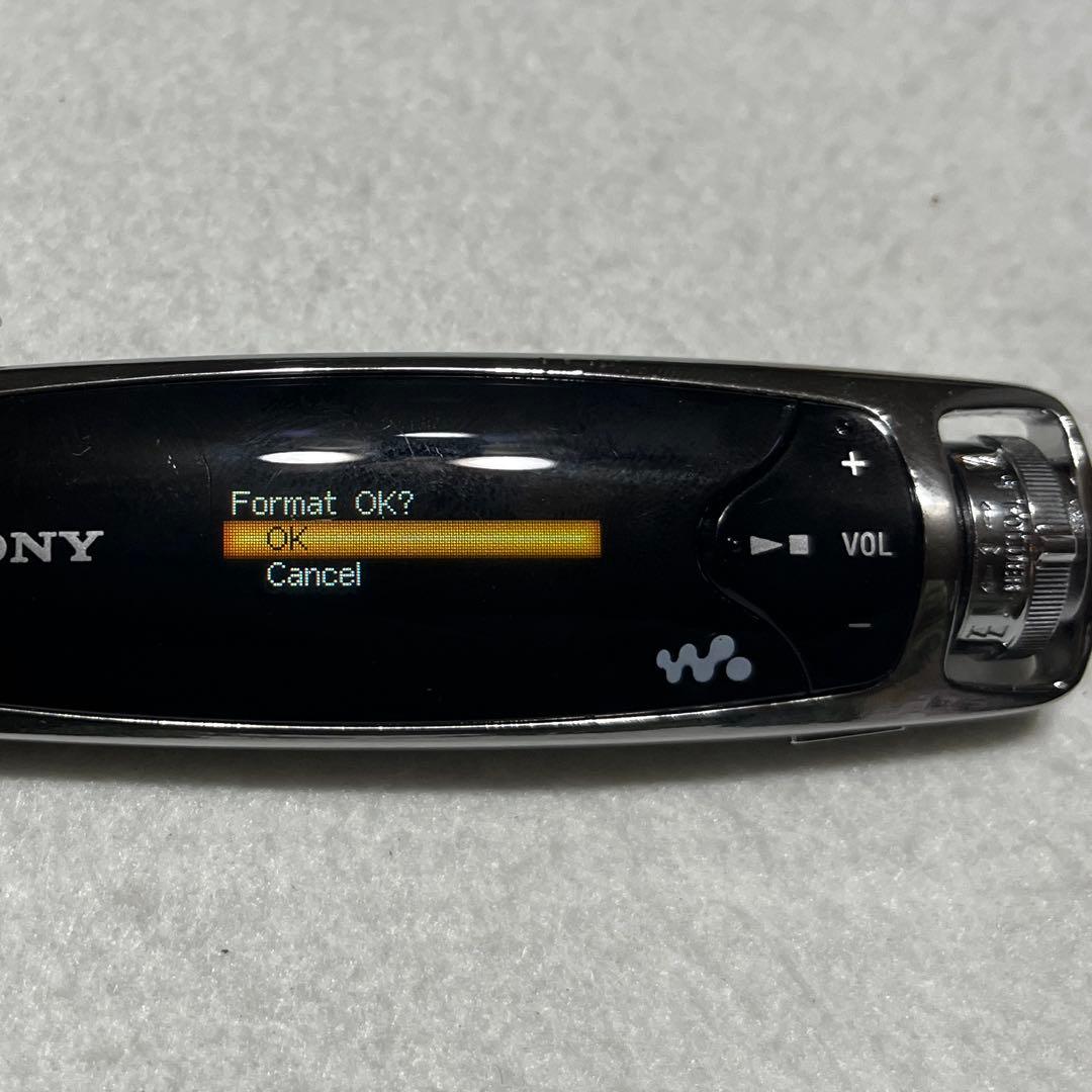 動作品 SONY WALKMAN NW-S705F 《ジャンク扱い》