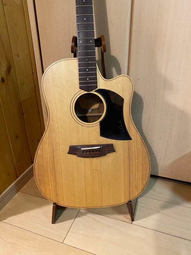 Cole Clarkアコースティックギター ハードケース付き