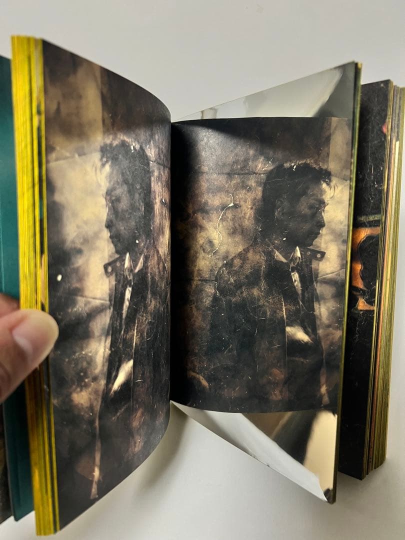 映画 春光乍洩 happy together ブエノスアイレス 限定写真集 - メルカリ