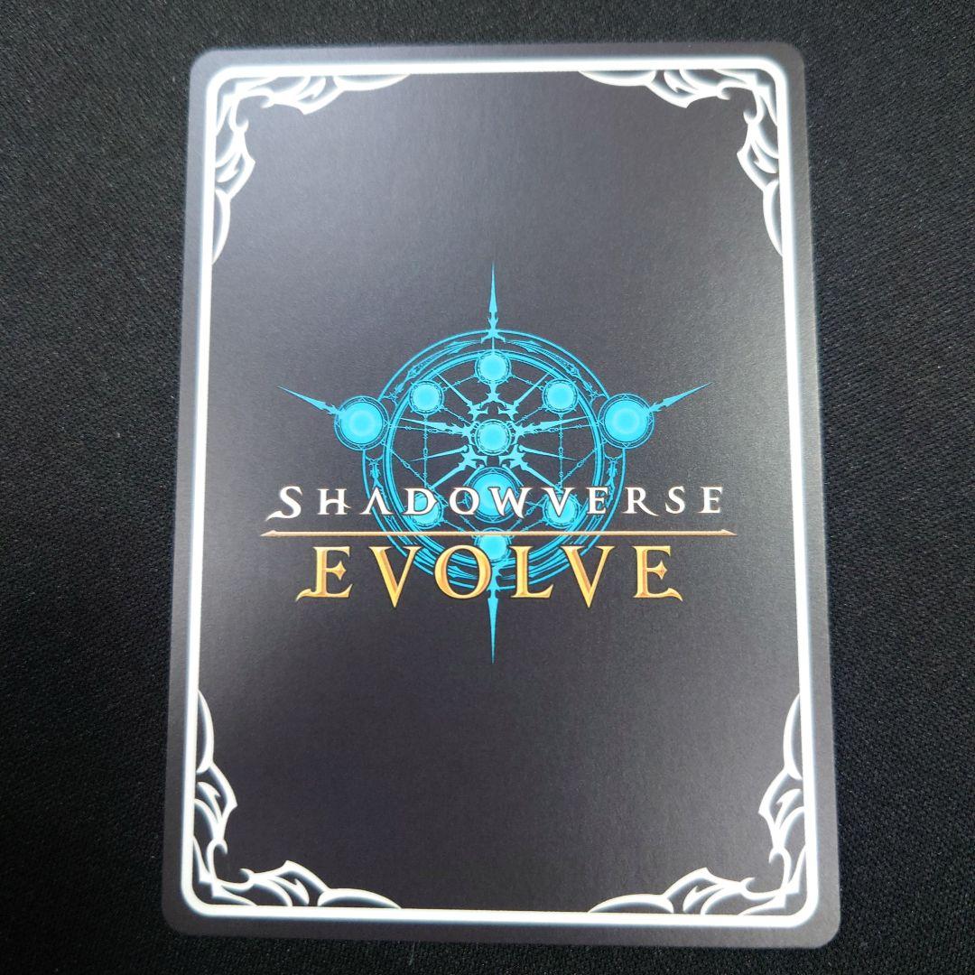 シャドウバースエボルヴ ヒシミラクル SSP サイン ウマ娘 - メルカリ