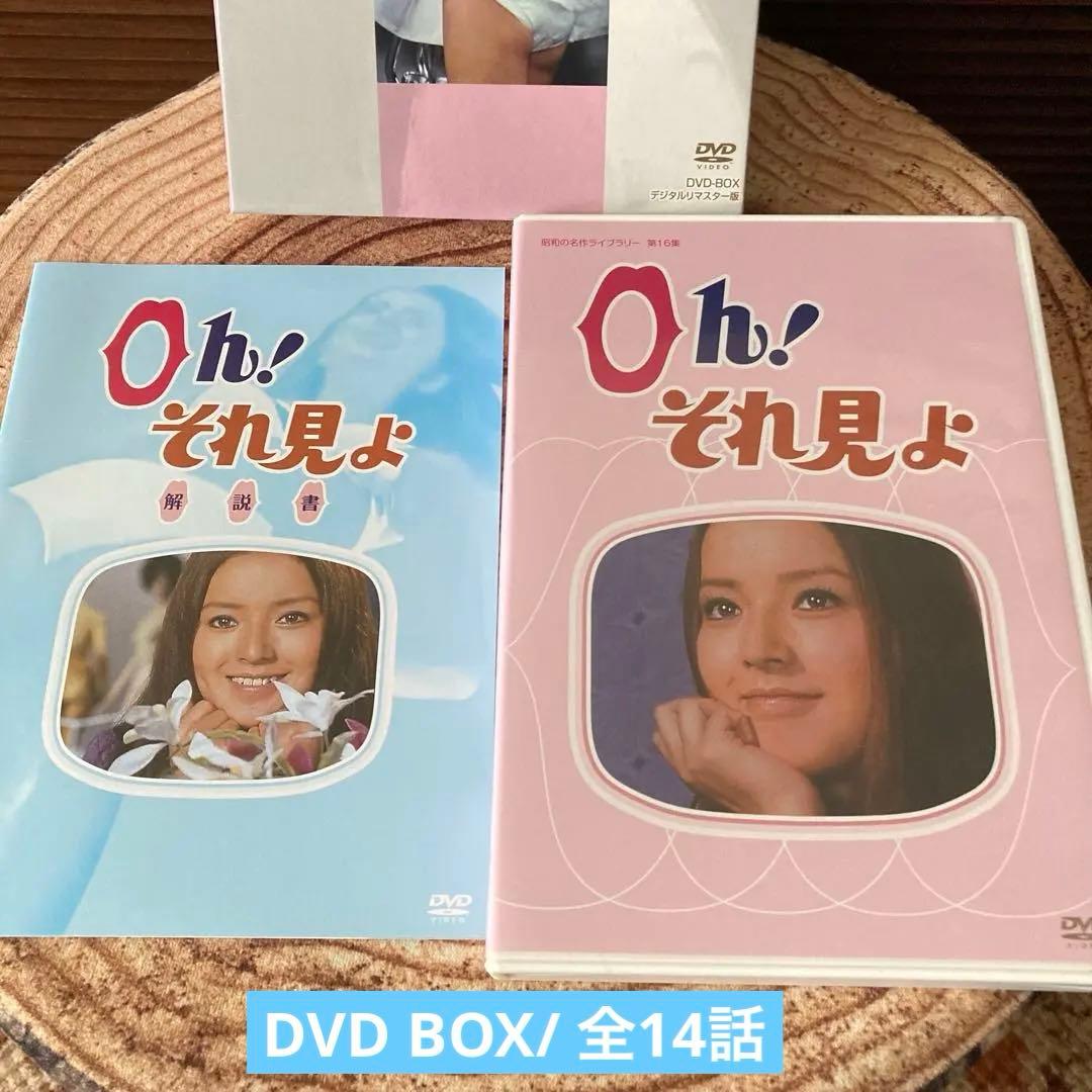 Oh!それ見よ DVD-BOX 〈2枚組〉小川ローザ主演