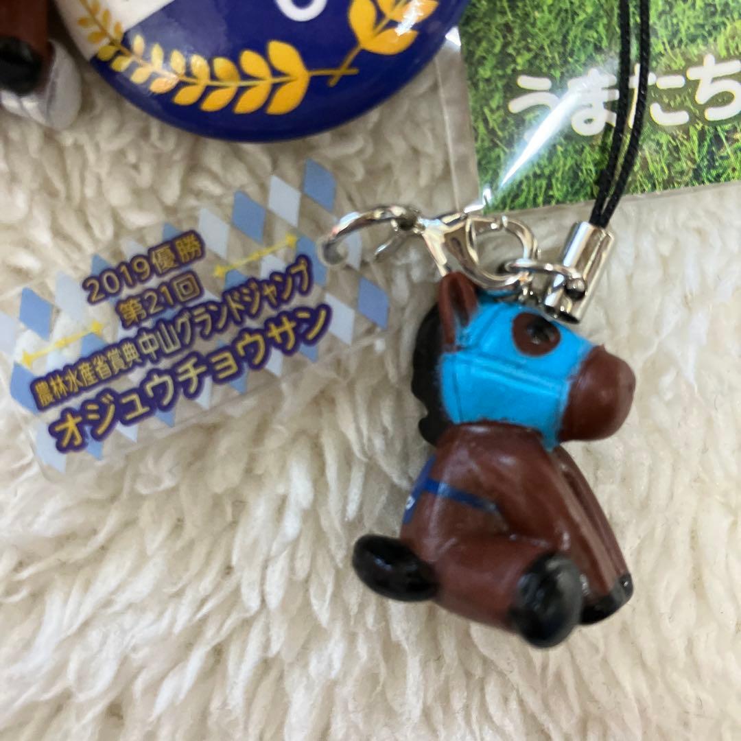 競馬 オジュウチョウサン ストラップ アクリルキーホルダー - メルカリ