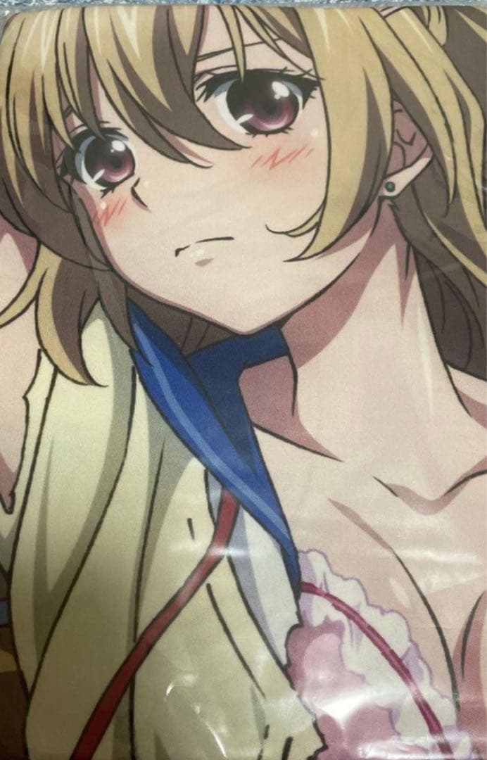 イベント限定　ストブラ　ストライク・ザ・ブラッド　藍羽浅葱　抱き枕カバー