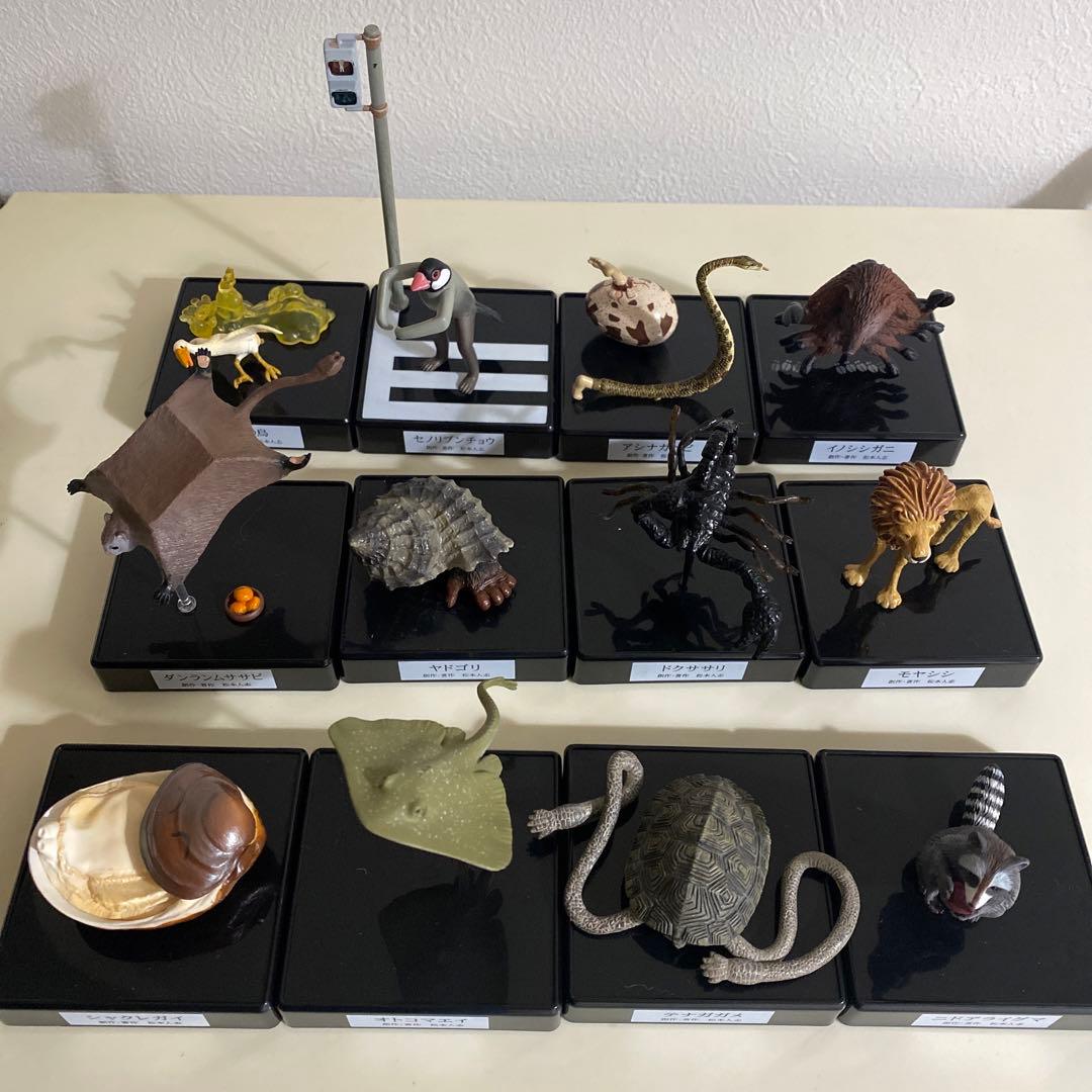 松本人志 世界の珍獣 - メルカリ