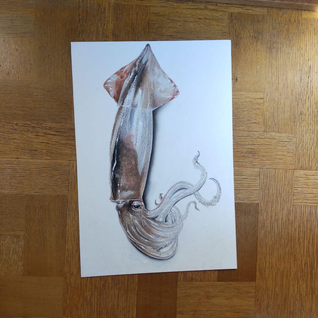 肉筆画　直筆　ARIAさんの絵　Http://grapee.jp/1220421