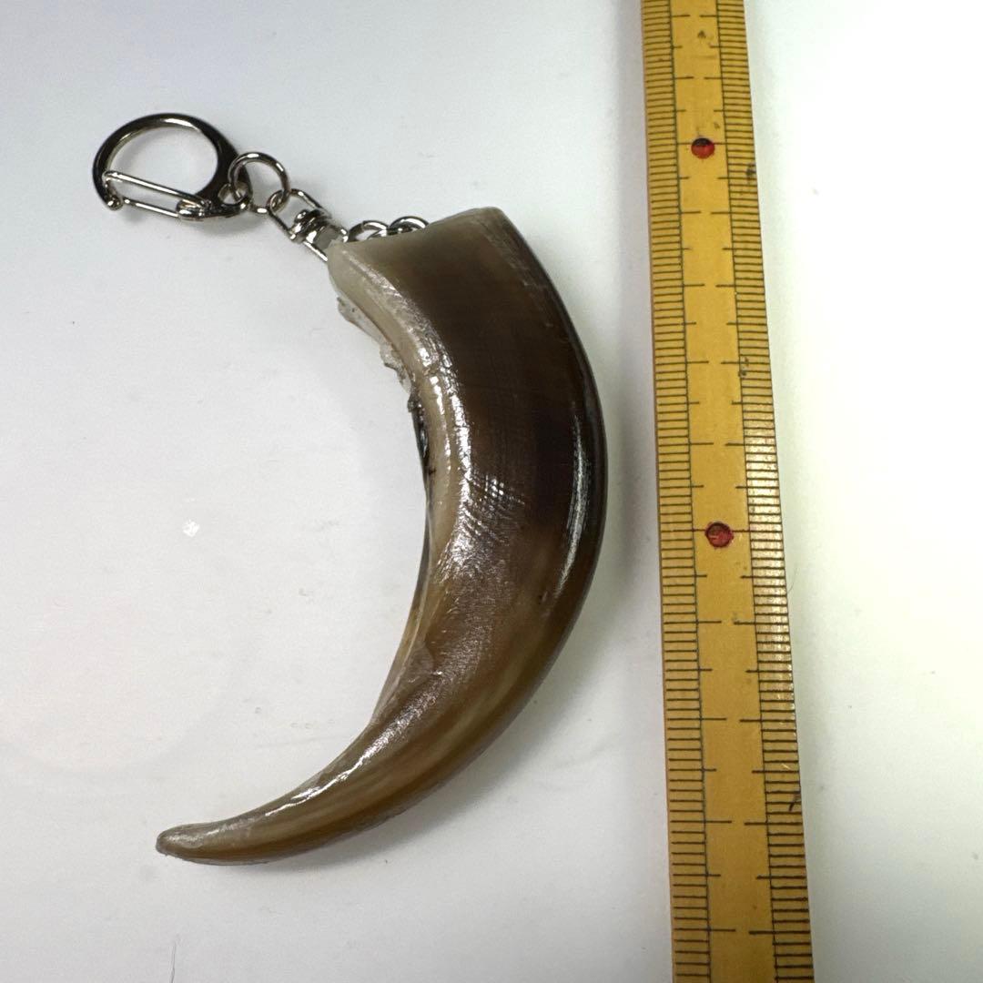 羆 熊の爪 超BIG 8cm② ツキノワグマの爪 1本 – VARIED ONLINE SHOP