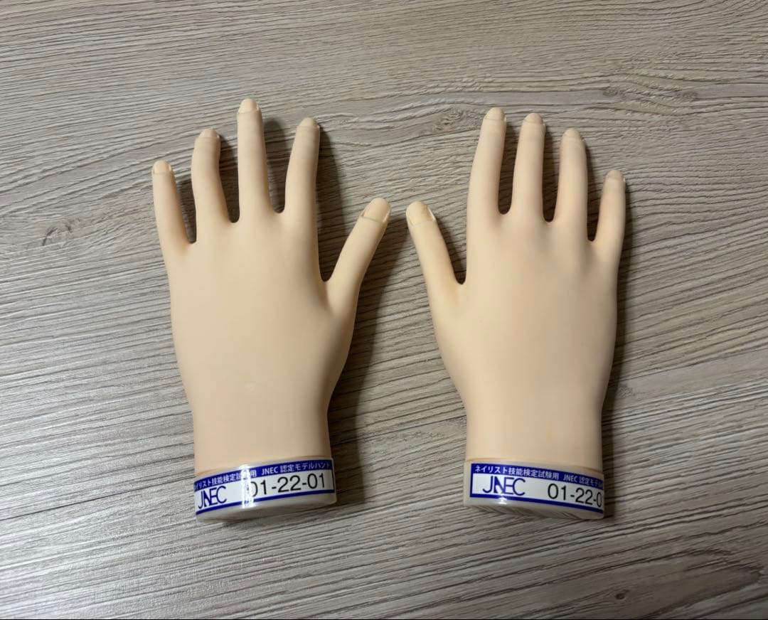 JNEC認定モデルハンド 両手 STモデルハンド /両手セット（JNEC 第1期認定モデルハンド