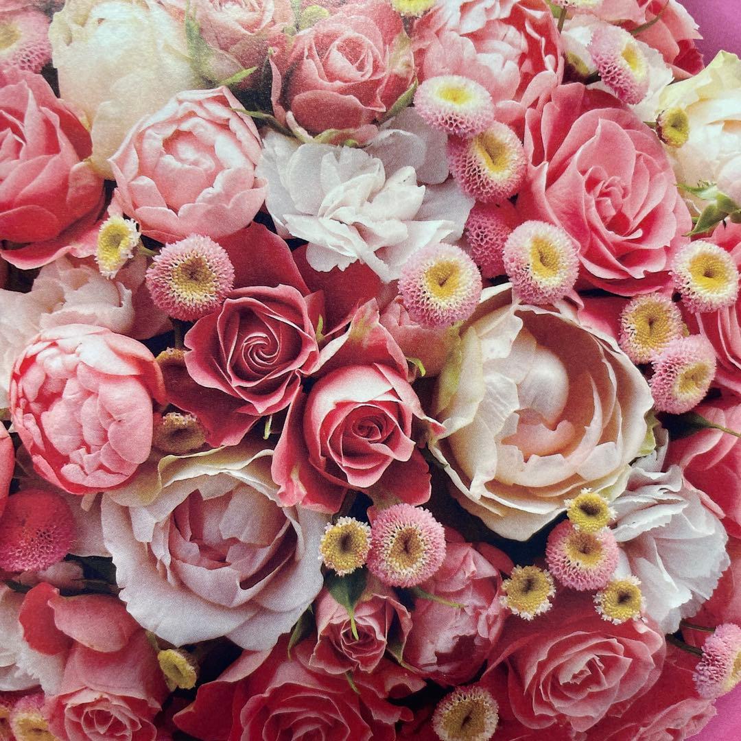 purinさま(o^^o)専用となります