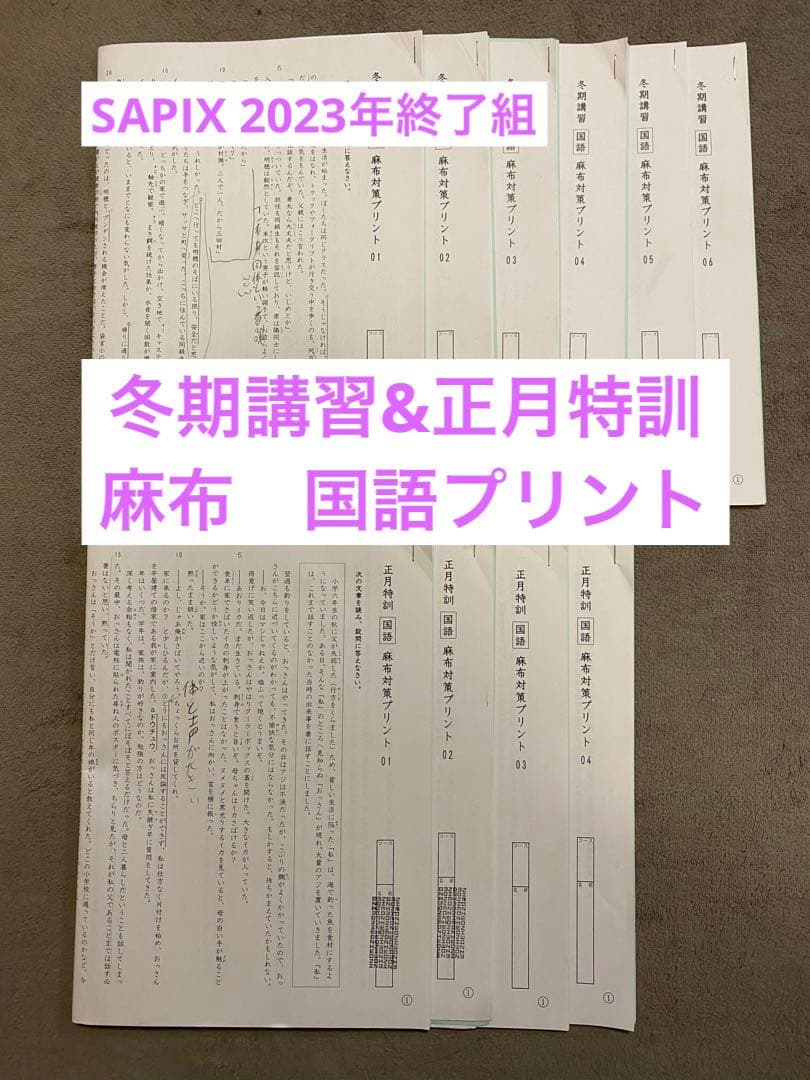 2023年終了組】サピックス冬期&正月特訓 麻布国語プリント - メルカリ