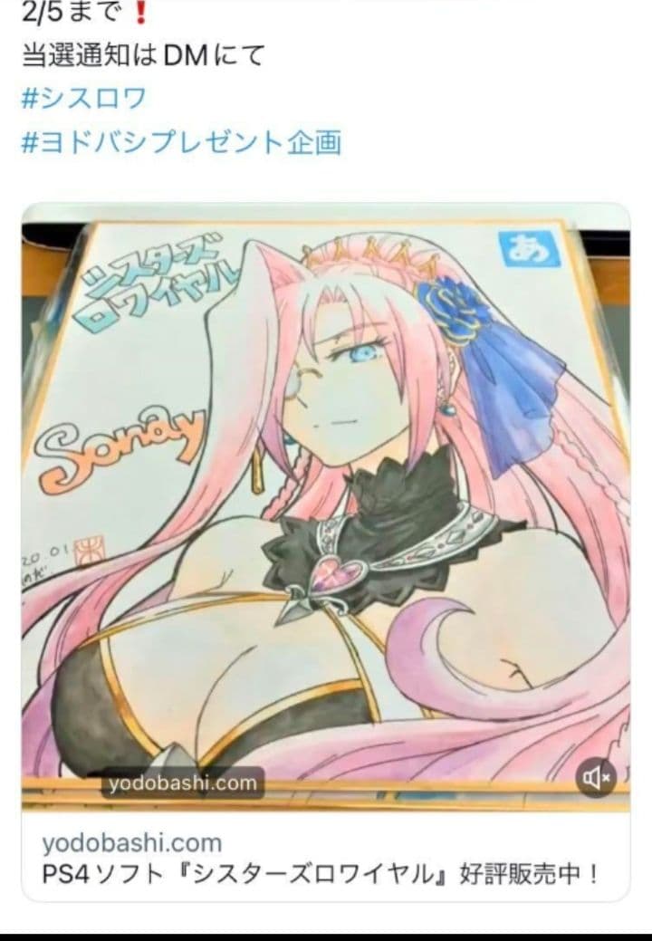 シスターズロワイヤルSwitch版　+　直筆イラストサイン色紙(園田未来先生)