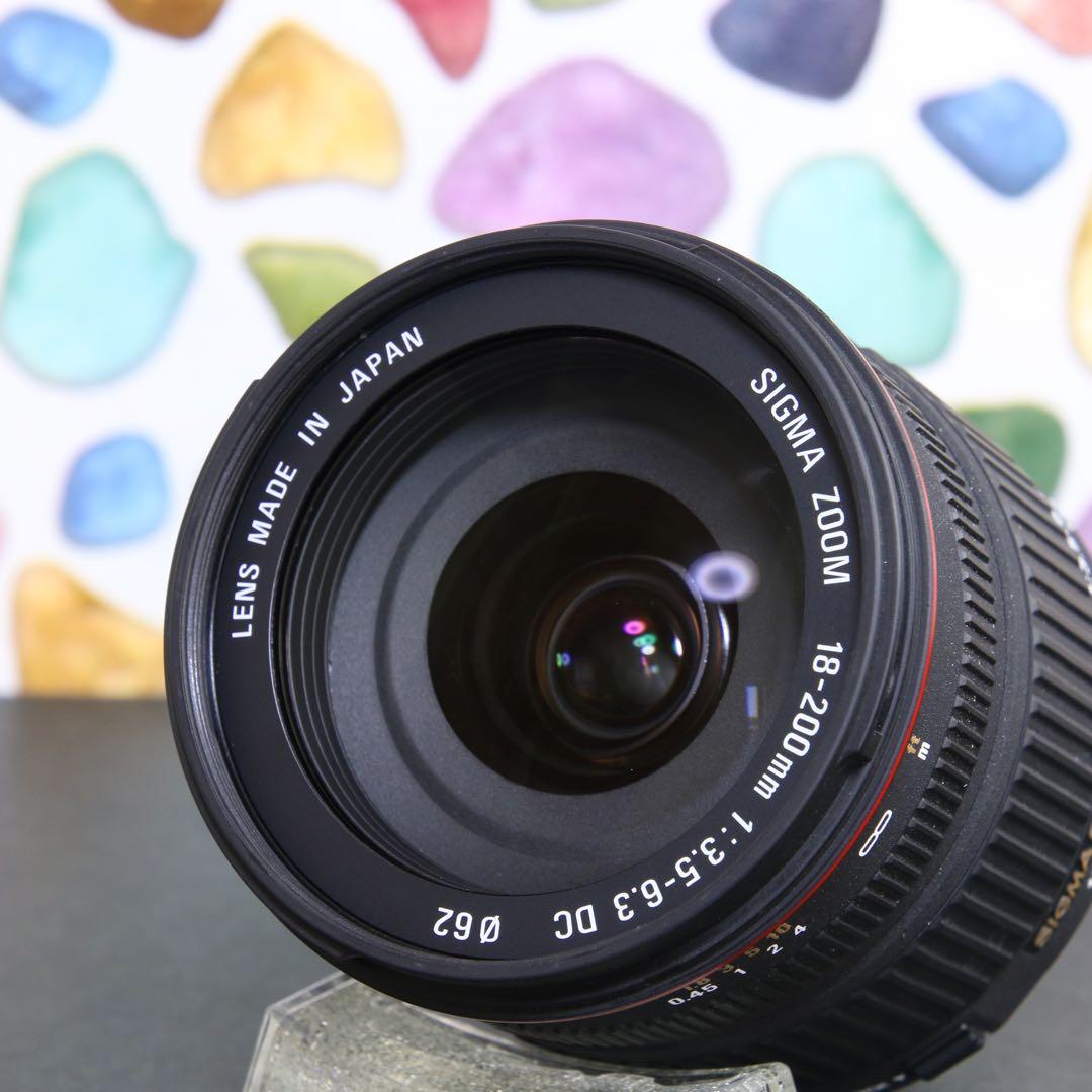 ♥︎◇近くも遠くも♪ ◇SIGMA 18-200mm F3.5-6.3 Nikon