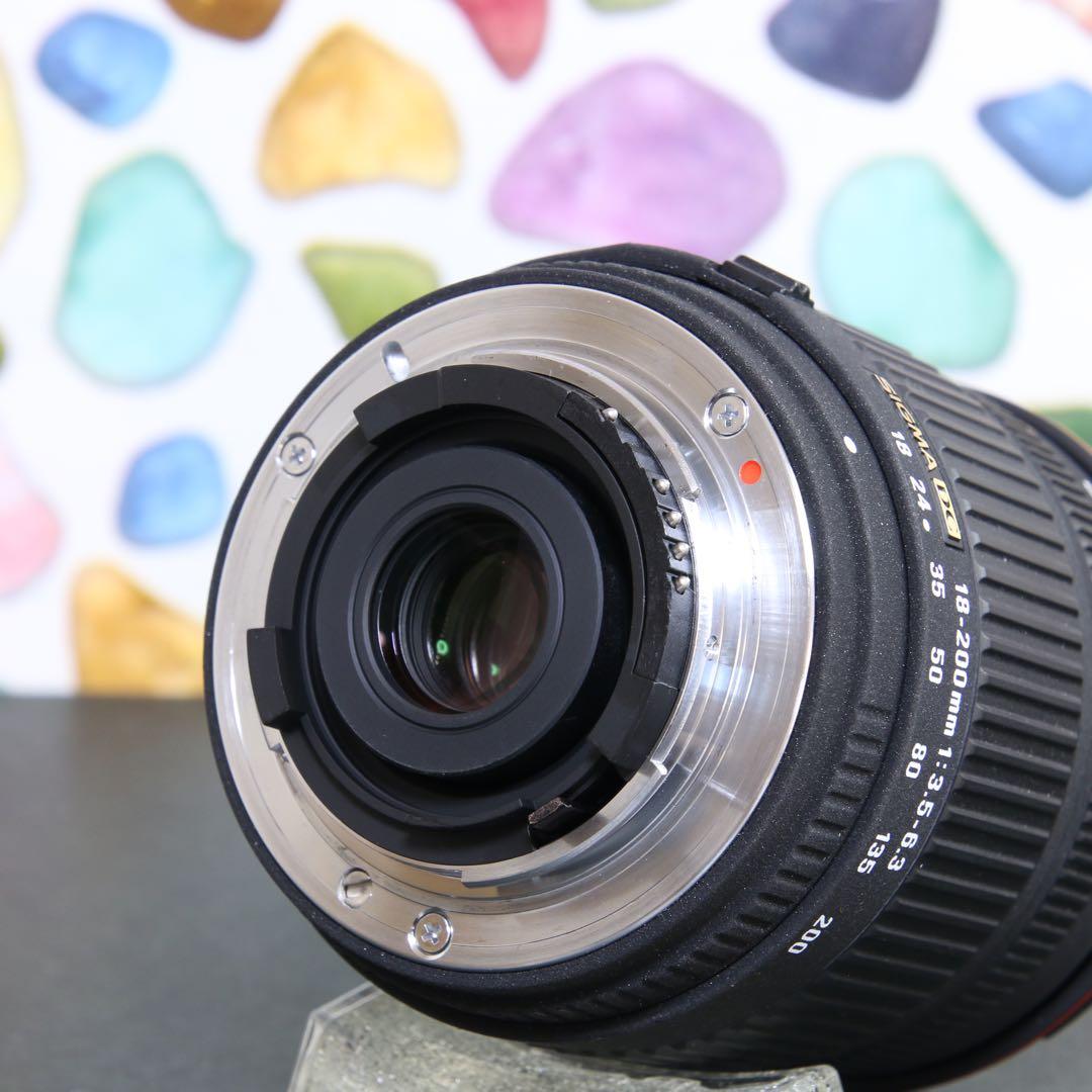 ♥︎◇近くも遠くも♪ ◇SIGMA 18-200mm F3.5-6.3 Nikon