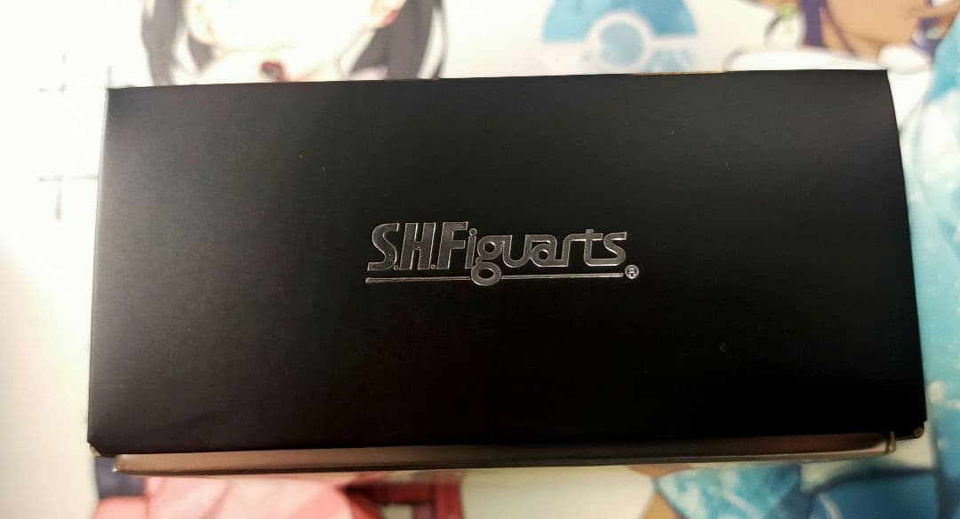 S.H.Figuarts 真骨彫製法 ウルトラマンガイア(V2)