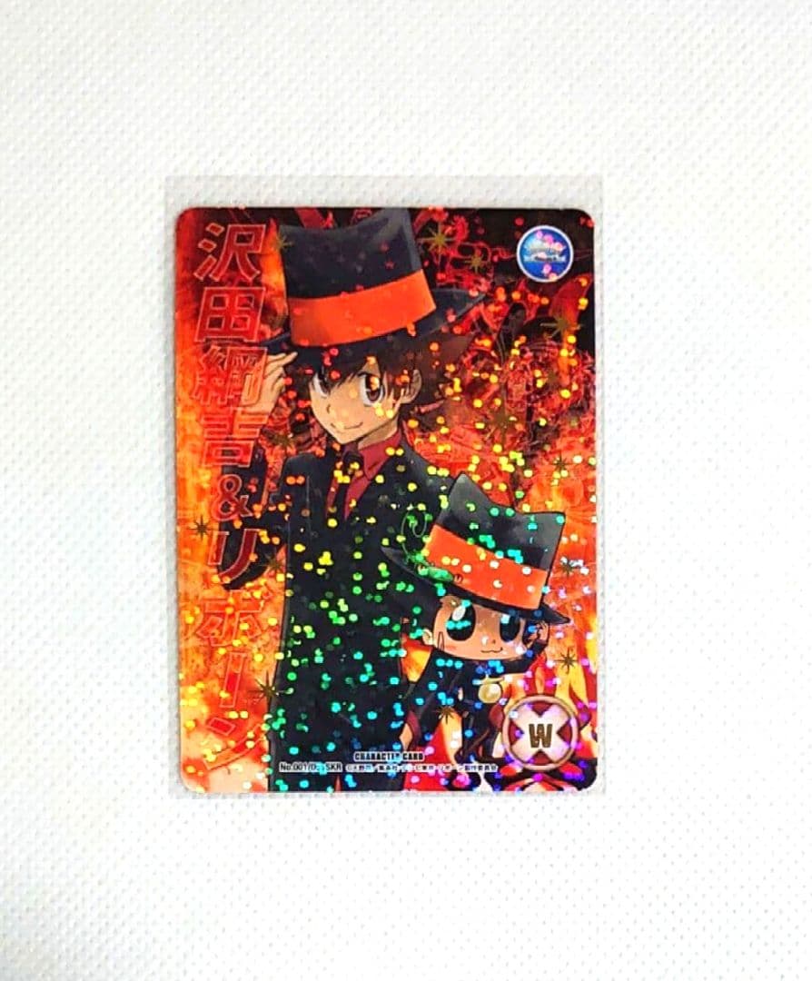 家庭教師ヒットマンREBORN！CCG SKR 死ぬ気レア 沢田綱吉 リボーン