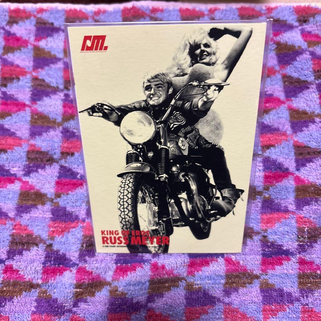 洋画・外国映画 Russ Meyer's Wild Box DVD