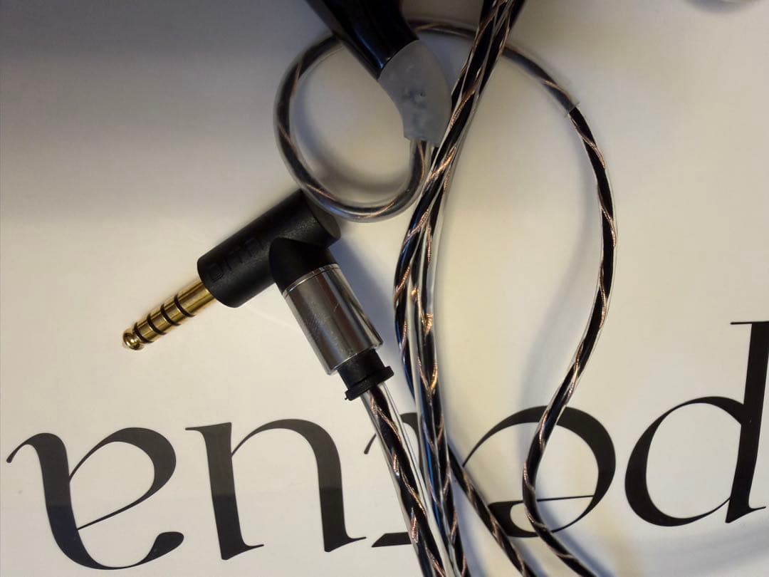 超美品】DITA Perpetua 10周年記念 有線イヤホン