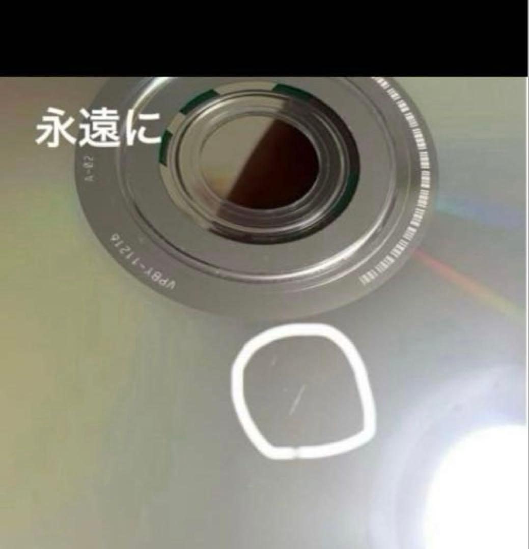 【土日限定30%OFF！！】デジタル所さんDVD全12巻 廃盤希少