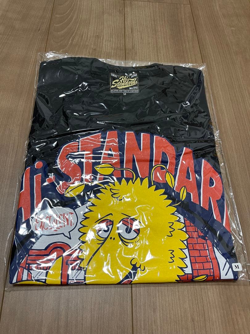Hi-STANDARD GOOD JOB! RYAN TOUR Tシャツ 黒 M GHP01 