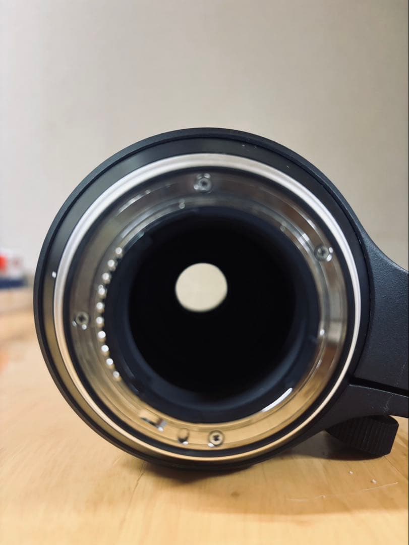 Tamron SP 150-600mm F/5-6.3 G2 テレコン付き