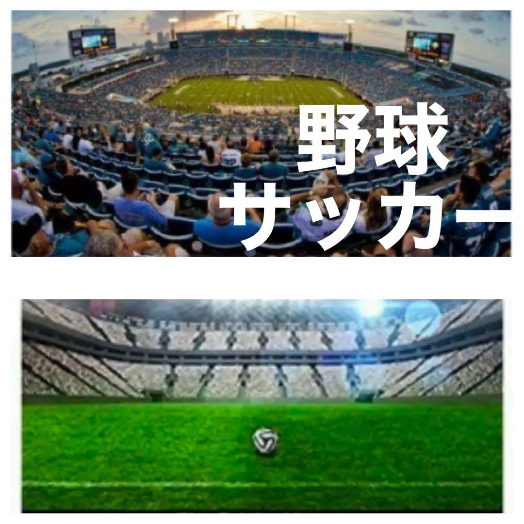 SONY ミラーレス用 超望遠レンズ サードパーティ製 初心者でもOK