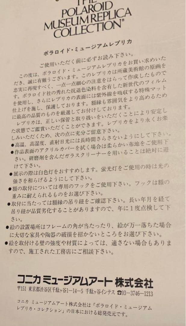 アンリマティス ルーマニア風のブラウス 複製画 ポラロイド
