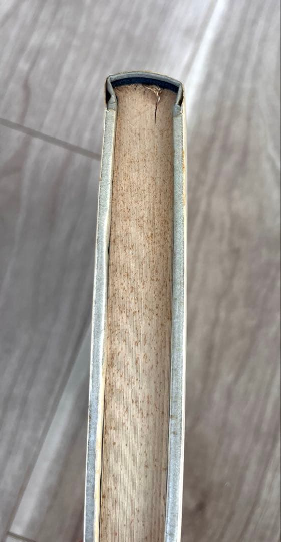 希少　ワニの泪　岡田睦　帯付き　初版　河出書房新社