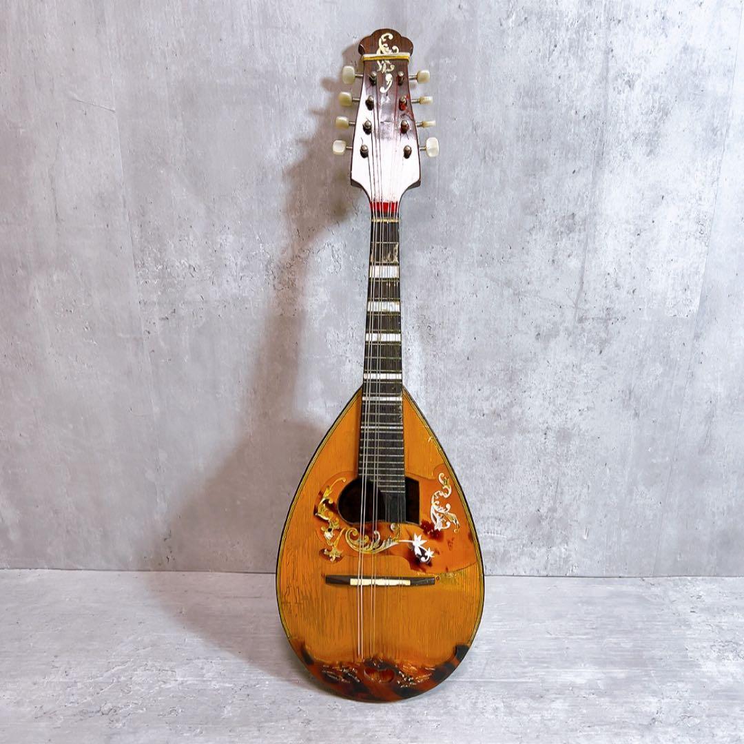 希少！Raffaele Calace カラーチェ マンドリン No.16 - メルカリ