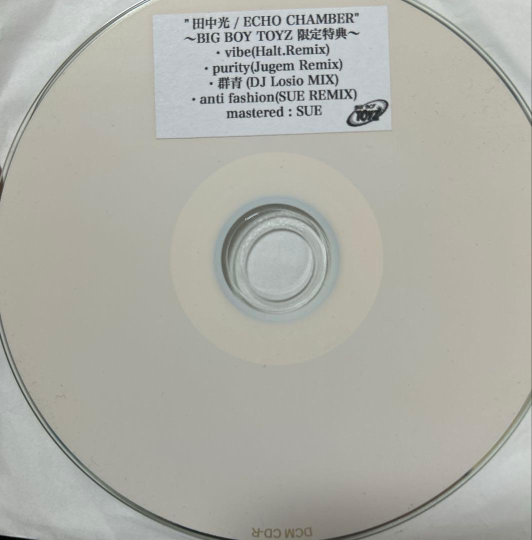 田中光 ECHO CHAMBER 特典CD 廃盤 dry echoes 輪入道