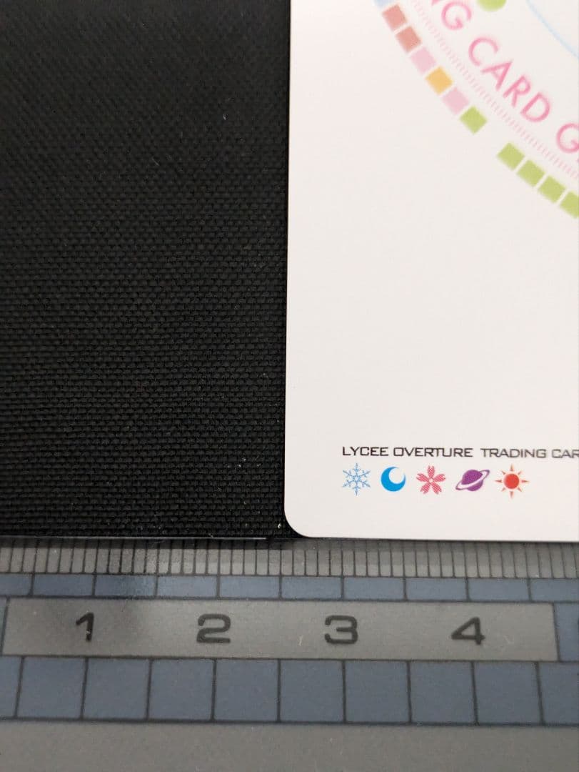 Lycee SP 串刺の雷刃 セイバー/フランケンシュタイン(サイン入り