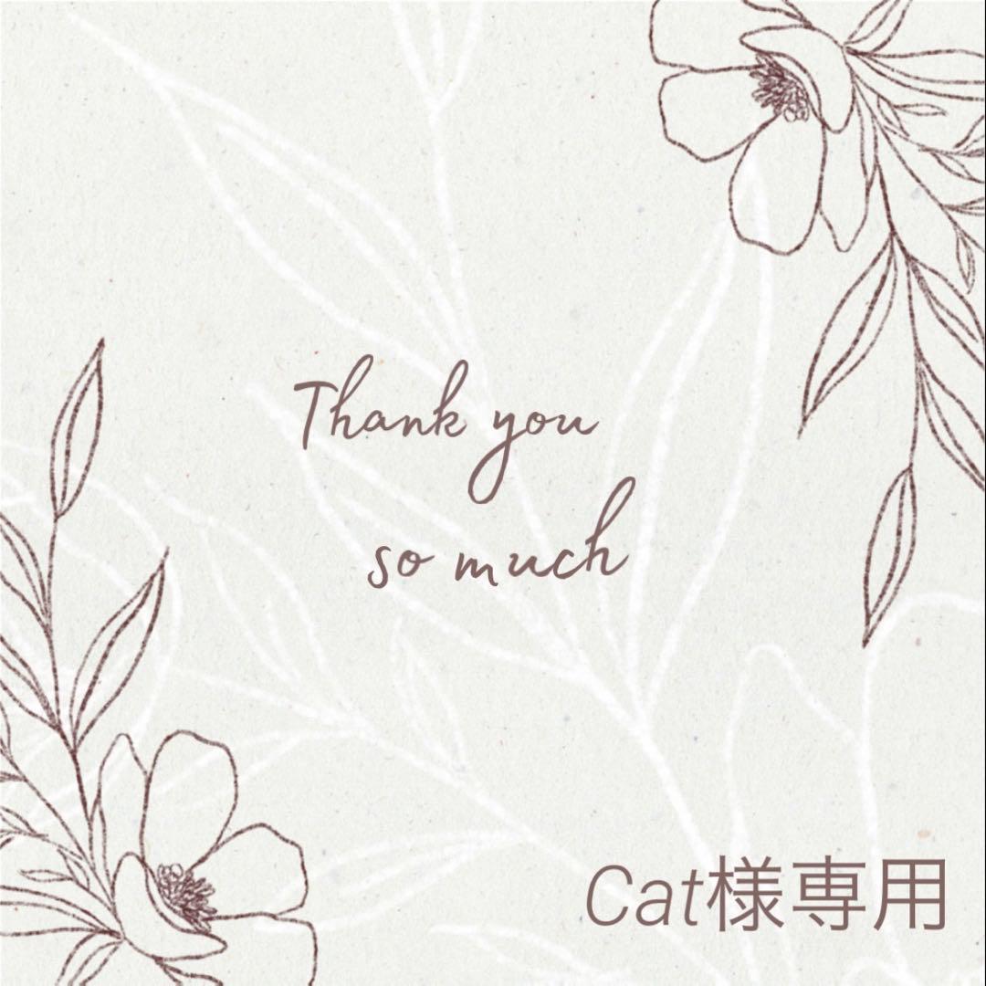 ◆Cat◆ 大阪店WEB限定【Chikashitsu +】oversized pixel cats t-shirt (2color