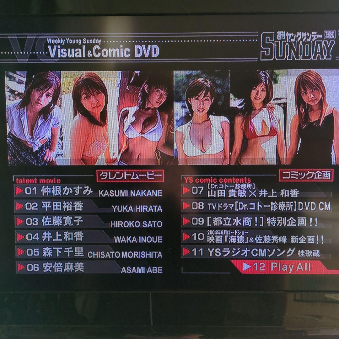 週間 ヤングサンデー　井上和香　他ピンナップ、切り抜きなど　おまけ　【中古】