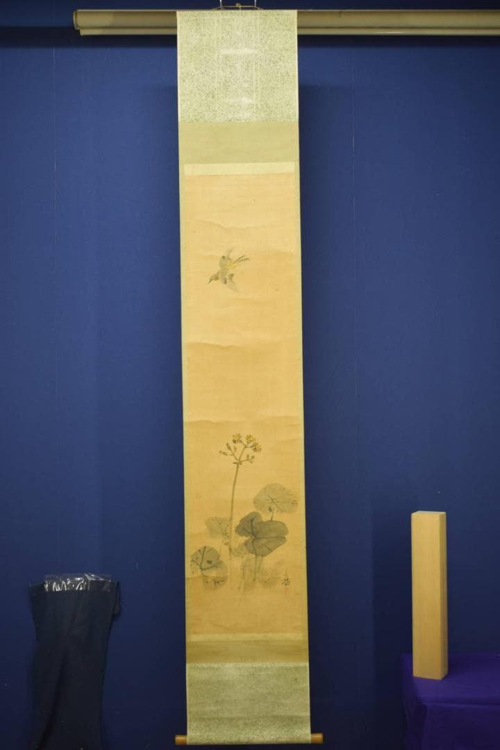 真作/今井景樹/蕗/小禽図/フキ/布袋屋掛軸HI-903 - メルカリ