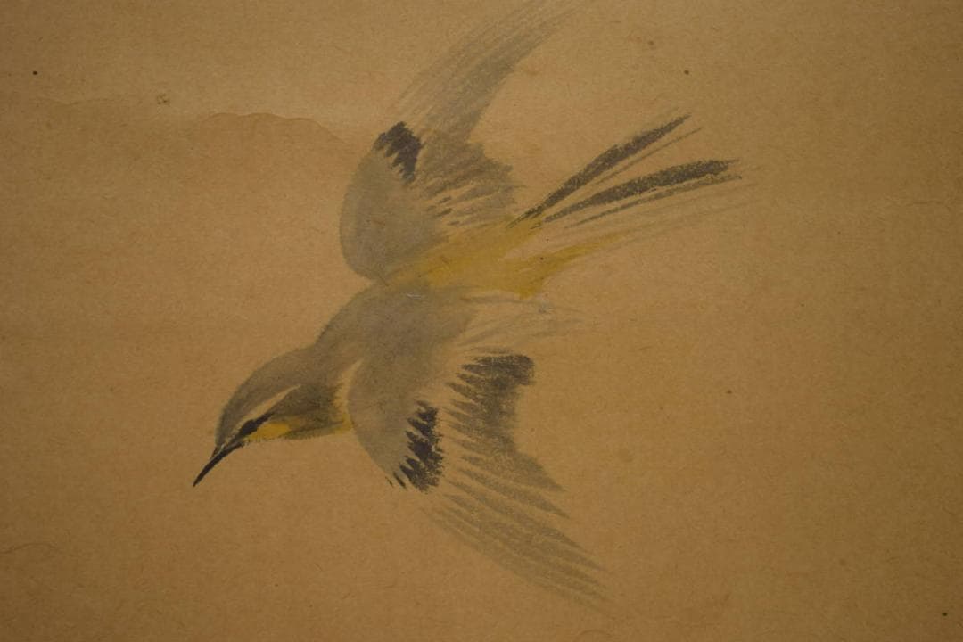 真作/今井景樹/蕗/小禽図/フキ/布袋屋掛軸HI-903 - メルカリ