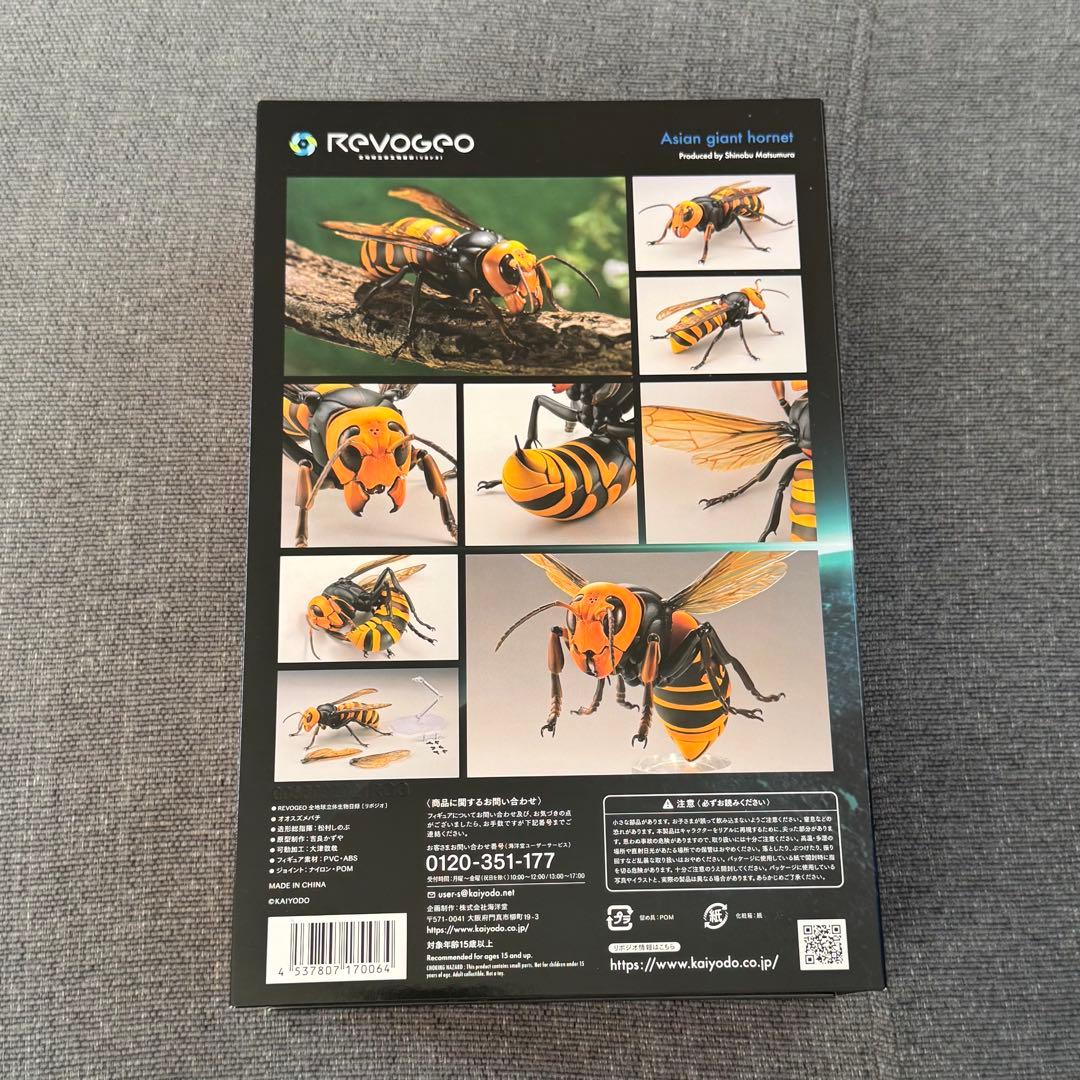 希少‼️ 海洋堂 リボジオ オオスズメバチ 標本 - メルカリ