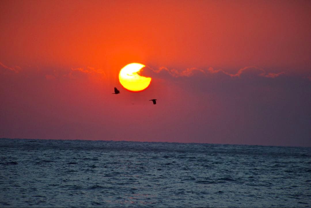 レンズ(ズーム) NIKON AF VR-NIKKOR 80-400mm F4.5-5.6