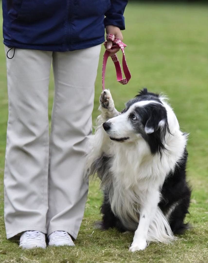 レンズ(ズーム) NIKON AF VR-NIKKOR 80-400mm F4.5-5.6