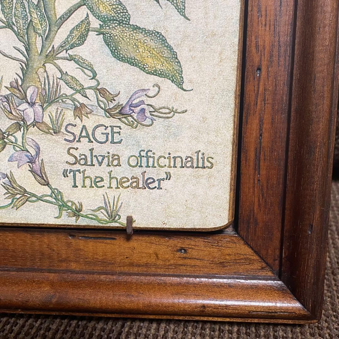 美品】 アンティーク ボタニカルアート 植物画 木製 額 2枚セット