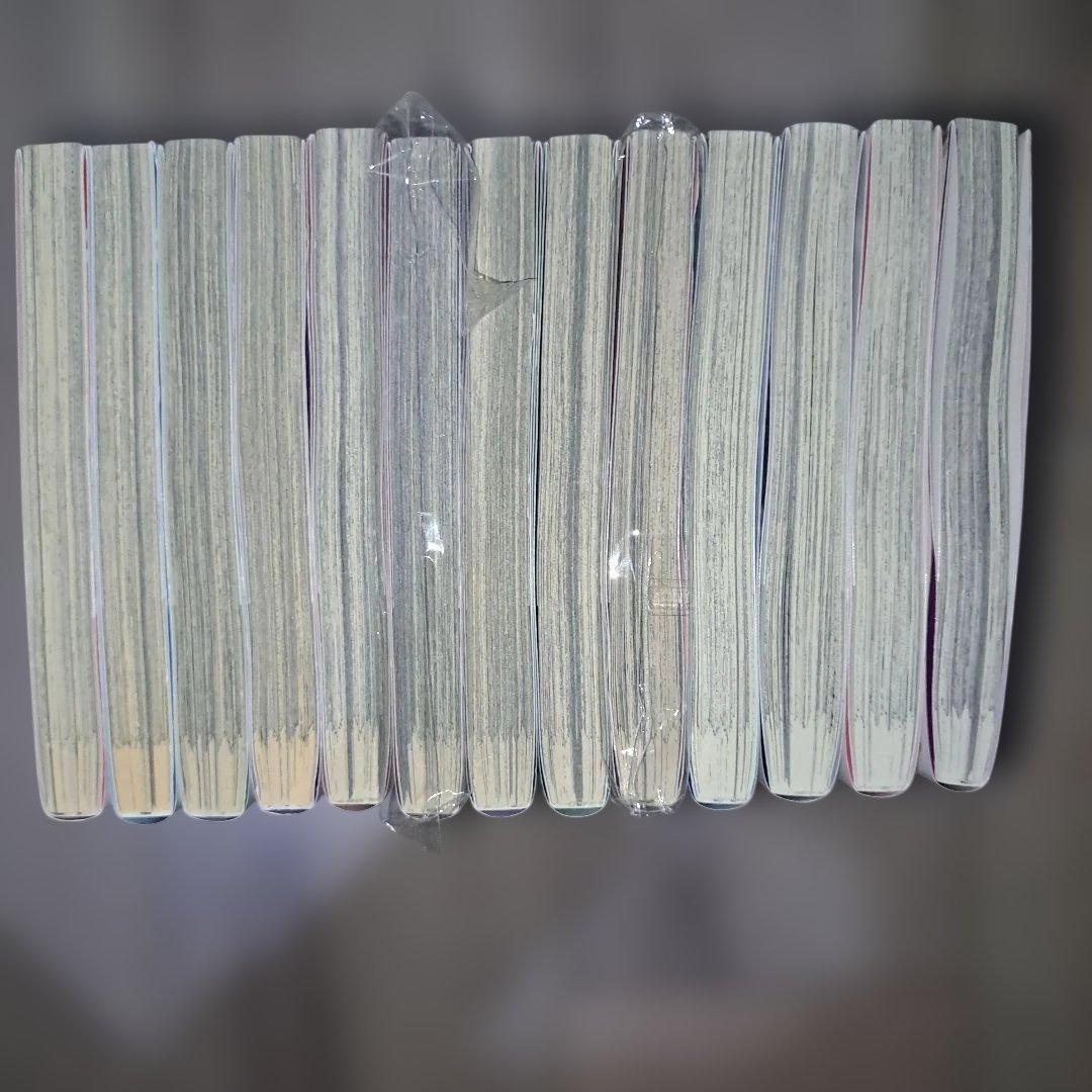 裏切られたSランク冒険者の俺は、愛する奴隷の彼女らと共に奴隷だけ1~13巻セット