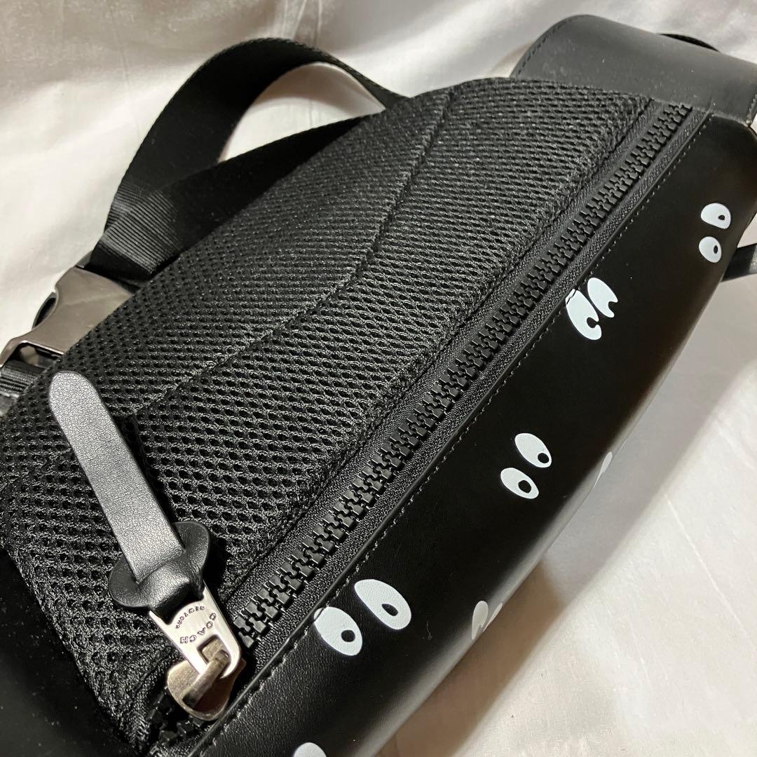 COACH × Disney 白雪姫 ウエストバッグ F72952 中古 - メルカリ