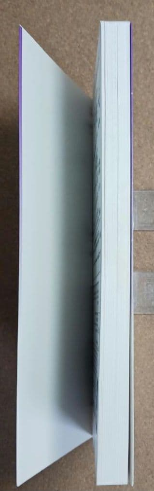 絶版C++ Builder 6 実用プログラミング 井上勉 著 PSネットワーク